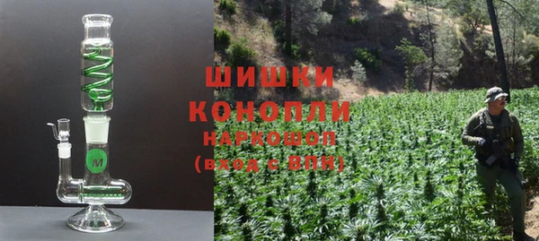 шишки Алзамай