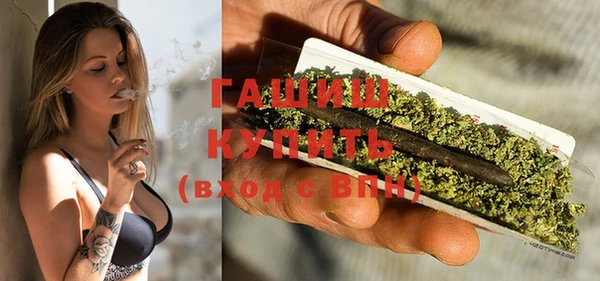 гашик Алексин