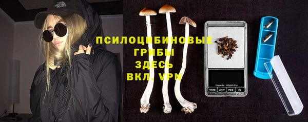гашик Алексин