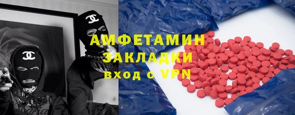 гашик Алексин