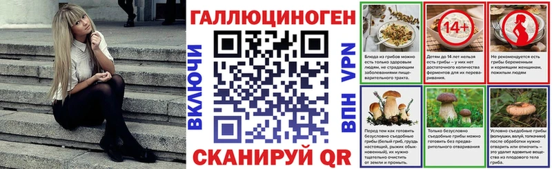закладки Казань Галлюциногенные грибы MAGIC MUSHROOMS