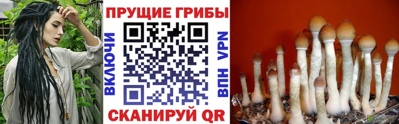 Галлюциногенные грибы Magic Shrooms Казань