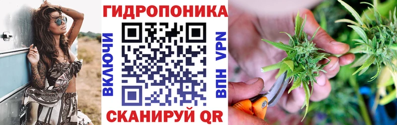 Бошки марихуана сатива  купить наркотики сайты  OMG как зайти  Казань 